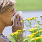 Seasonal Allergies
