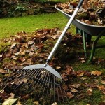 clean garden