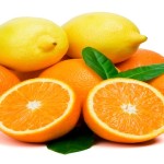 orange and lemon on white background