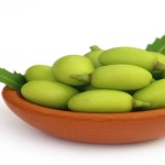 Medicinal neem fruits