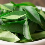 Benefits Of curry leaves1