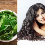 Benefits Of curry leaves2