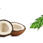 Benefits Of curry leaves3