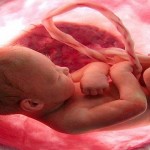 eating apples during pregnancy4