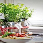 must-have-herbs-in-the-indian-kitchen_cover-image