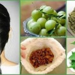 benefits-of-bhringaraj-oil1