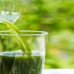 benefits of bottle gourd and ginger juice 1